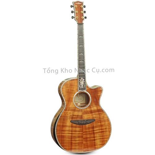 Đàn Guitar Acoustic Everest E600-CK