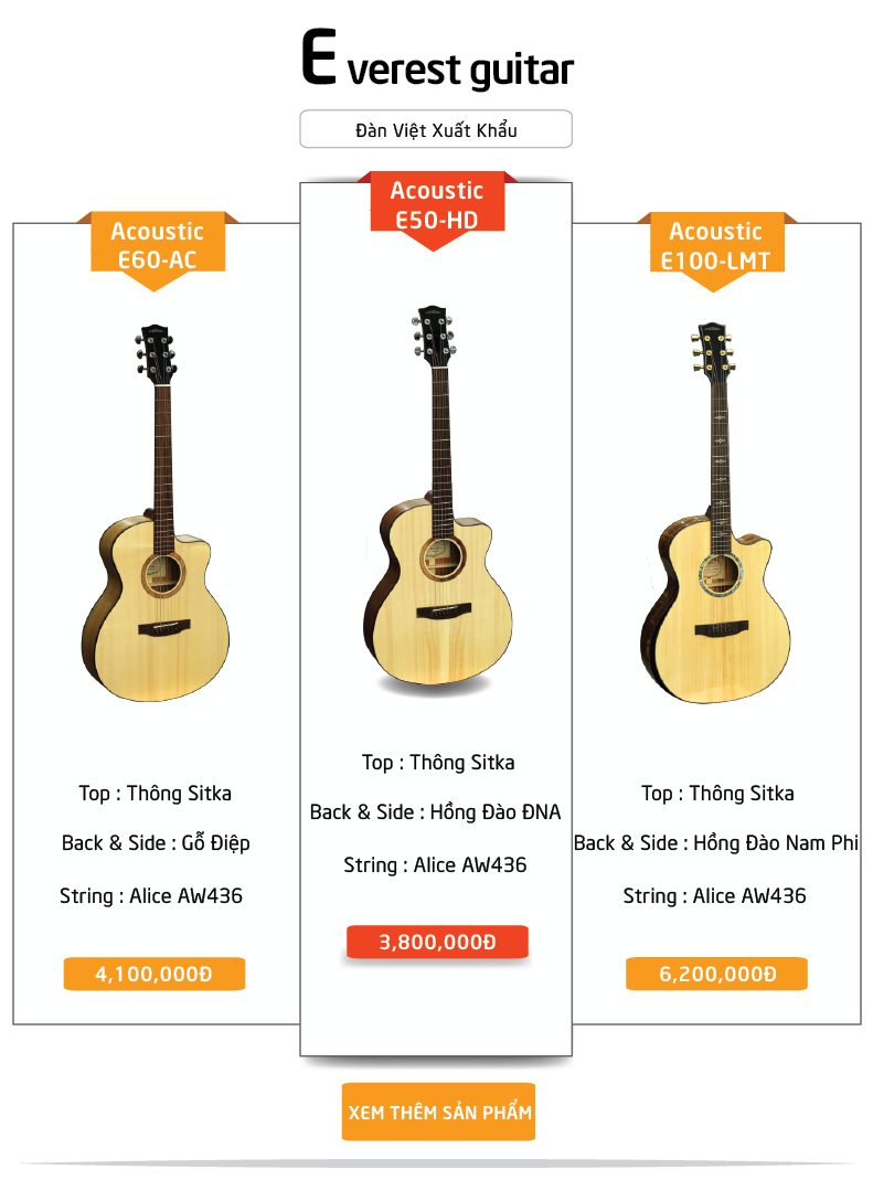 Everest guitar Việt 