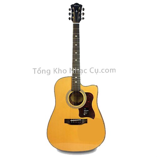Đàn Guitar Acoustic Mantic AG620C