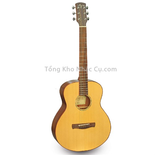 Đàn Guitar Acoustic Ayers ST-04G