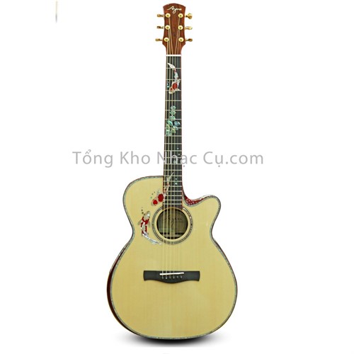 Đàn Guitar Acoustic Ayers ACX Cocobolo Custom ( Koi Fish Full Solid )