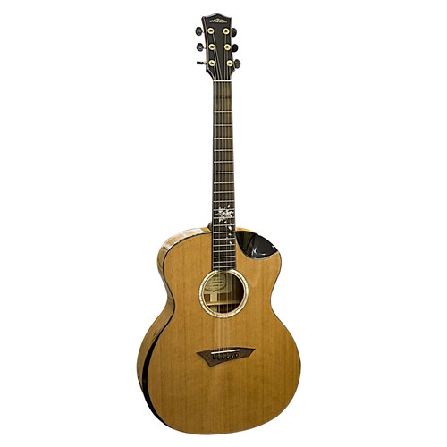 Đàn Guitar Acoustic Everest E1000LMT