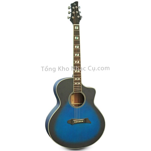 Đàn Guitar Acoustic NG-ST BLS (Solid Top)