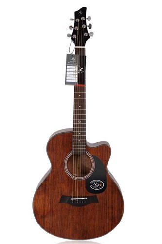 Đàn Guitar Acoustic NG S401CF