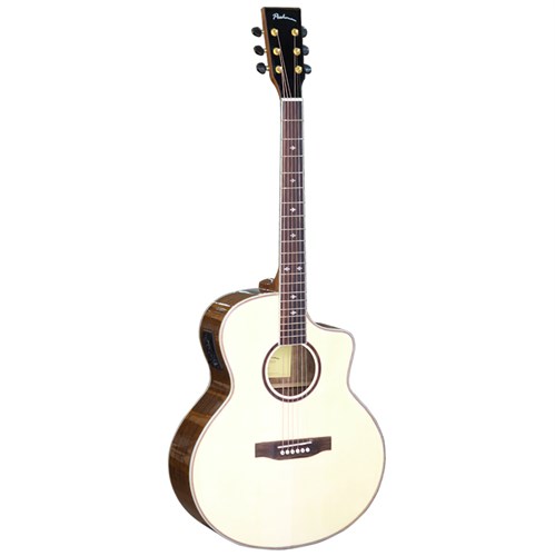 Đàn Guitar Acoustic Poshman X100 EQ