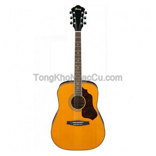 Đàn Guitar Acoustic IBANEZ I01-SGT120E-ATN