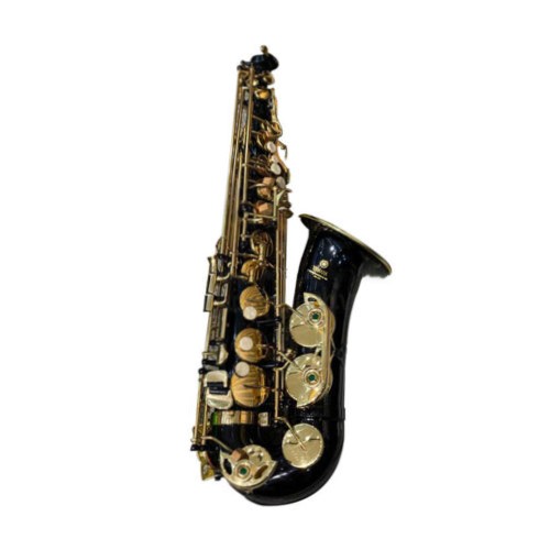 Kèn Saxophone Alto AS100BK4