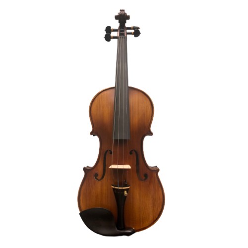 Đàn Violin Vân Vẽ Amati VM118 (Chính Hãng Full Box 100%) 