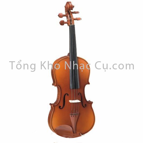 Đàn Violin Giordan Carlo Size 2/4, 3/4