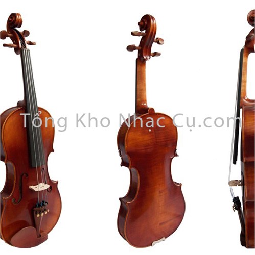 Đàn Violin Scott Cao SYV150