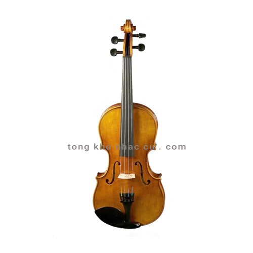 Đàn Violin Scott & Guan 017N Size 4/4 ( Chính hãng full box 100%)