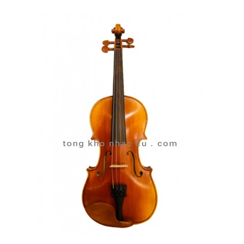 Violin Scott Cao STV150