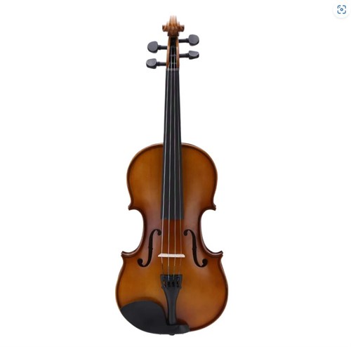 Đàn Violin Amati-1969 VF300 Vân Thật 1/2