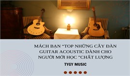 Top Những Cây Đàn Guitar Acoustic Dành Cho Người Mới Học Chất Lượng