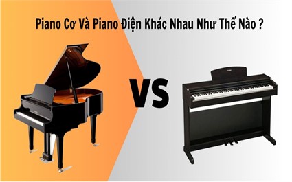 Piano Cơ Và Piano Điện Khác Nhau Như Thế Nào ?