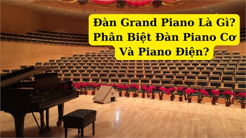 Đàn Grand Piano Là Gì? Phân Biệt Đàn Piano Cơ Và Piano Điện?