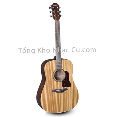 Đàn Guitar Acoustic Hohner CD65GN