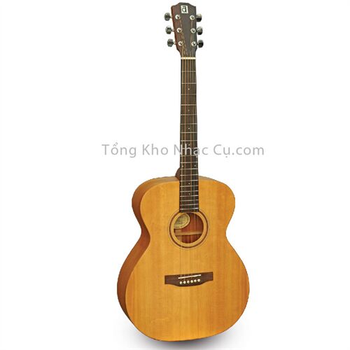 Đàn Guitar Acoustic Ayers AS