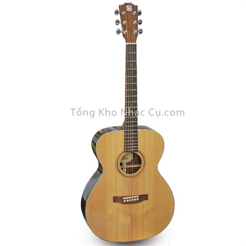 Đàn Guitar Acoustic Ayers ASRL