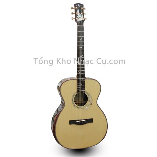 Đàn Guitar Acoustic Ayers ANGEL