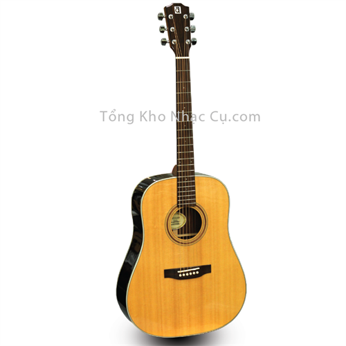 Đàn Guitar Acoustic Ayers DSRL