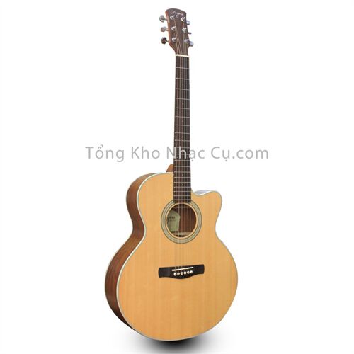 Đàn Guitar Acoustic Ayers SJC-SOL (Sơn Mờ)