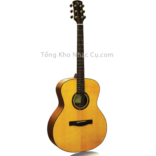Đàn Guitar Acoustic Ayers ST-01
