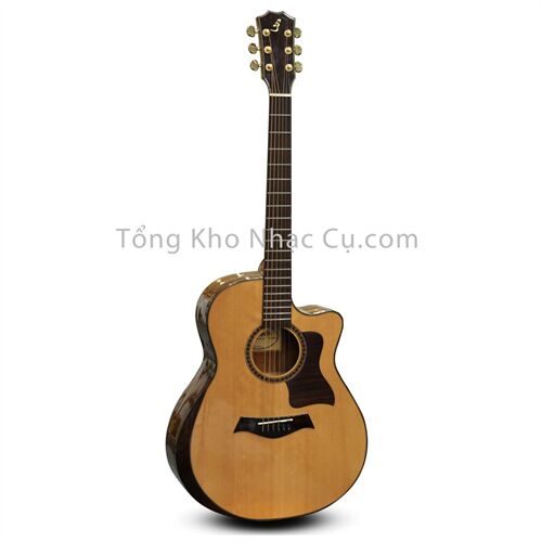Đàn Guitar Acoustic Ba Đờn Taylor Beveled T600