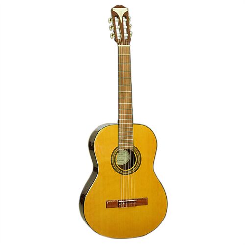 Đàn Guitar Classic Epiphone PRO-1 