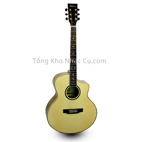 Đàn Guitar Acoustic Poshman X100