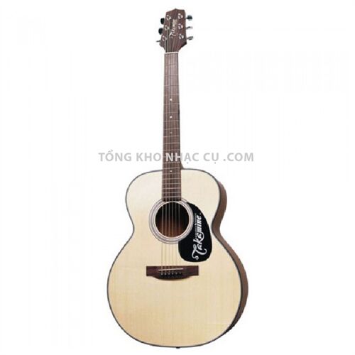 Đàn Guitar Acoustic Takamine D1N