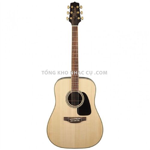 Đàn Guitar Acoustic Takamine GD51