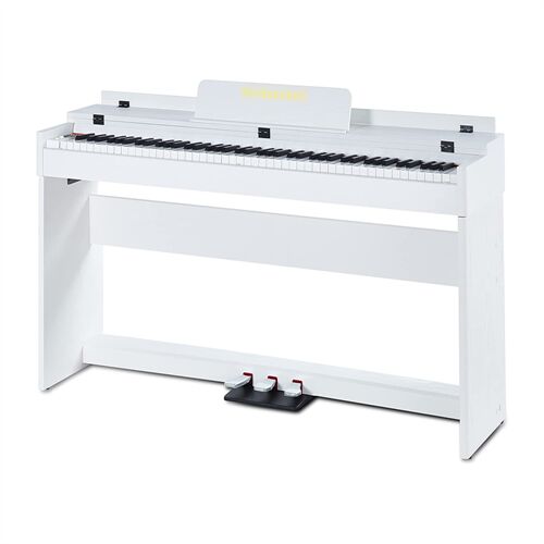 Đàn Piano Điện Suhnerbell SP-135 (Chính Hãng Full Box 100%)