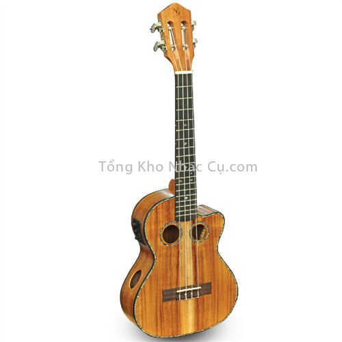 Đàn Ukulele Koa  NG EQ ( Có EQ )