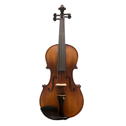 Đàn Violin Vân Vẽ Amati VM118 (Chính Hãng Full Box 100%) 