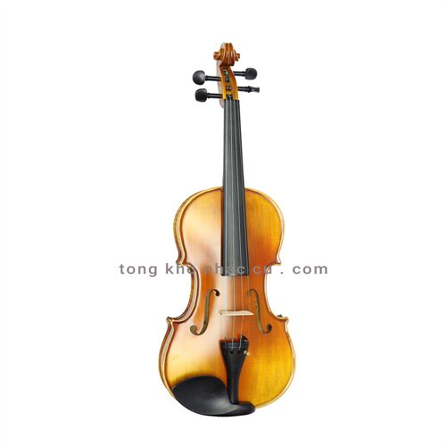 Đàn Violin Vân Vẽ