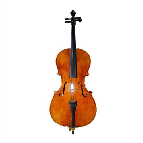 Đàn Cello Scott Cao STC150