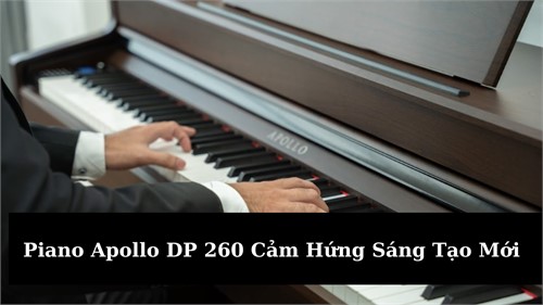 Piano Apollo DP 260 Cảm Hứng Sáng Tạo Âm Nhạc Mới