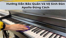 Hướng Dẫn Bảo Quản Và Vệ Sinh Đàn Apollo Đúng Cách