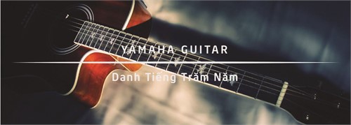 Đừng Vội Mua Đàn Guitar Yamaha Nếu Bạn Chưa Đọc Bài Viết Này!