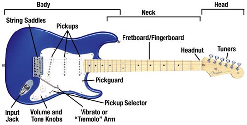 Các thành phần cơ bản của một cây guitar điện