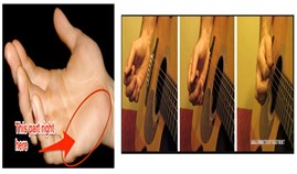 Tự Học Đàn Guitar | 3 Điệu Palm Guitar Đơn Giản Mà Hay Nhất