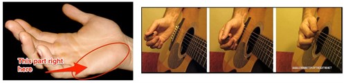 Tự Học Đàn Guitar | 3 Điệu Palm Guitar Đơn Giản Mà Hay Nhất