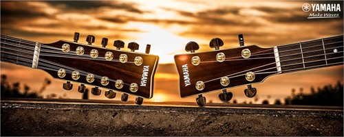 Cập nhật bảng giá mới nhất của đàn Guitar Yamaha năm 2023