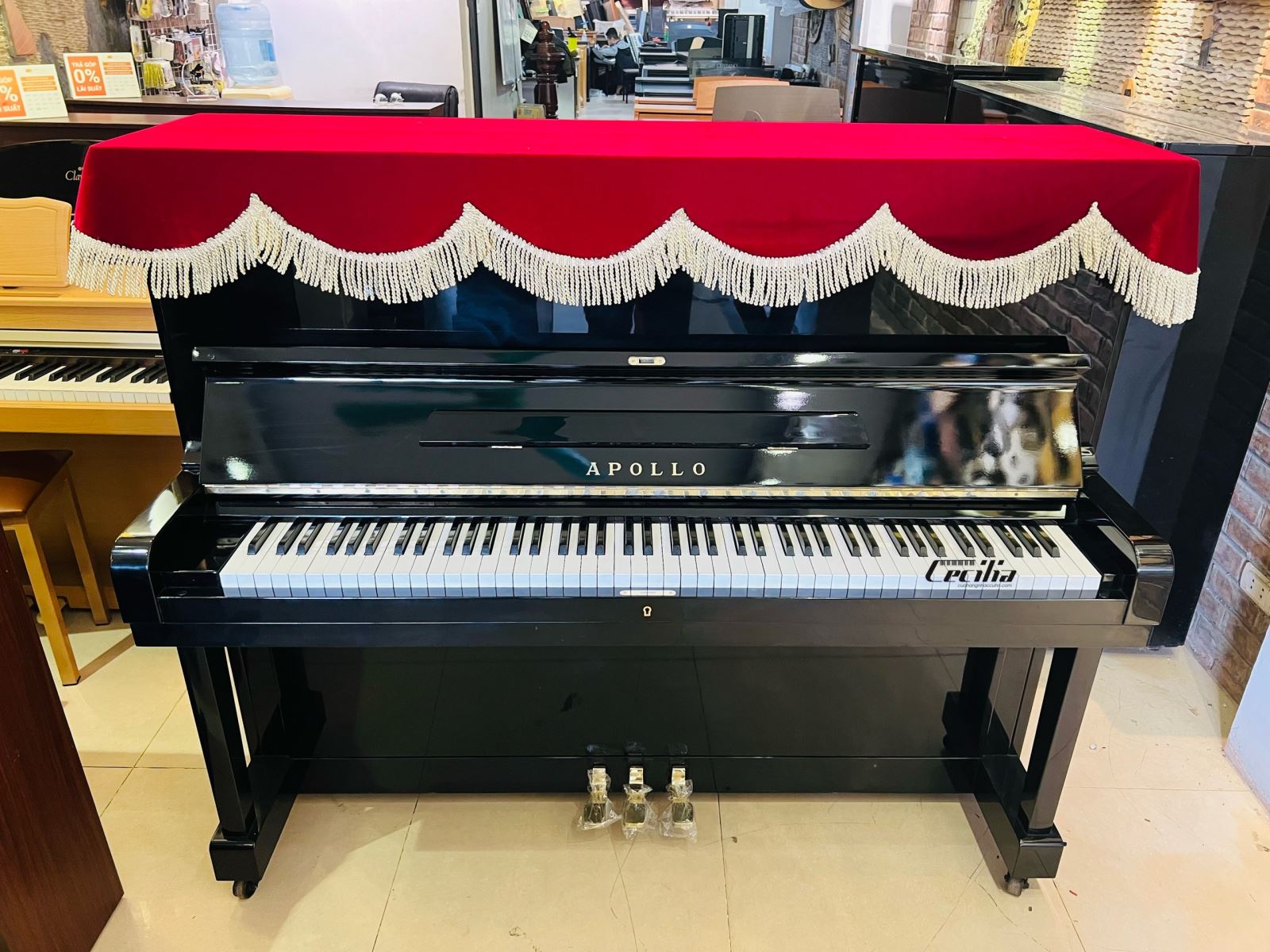 shop piano kiến an hải phòng
