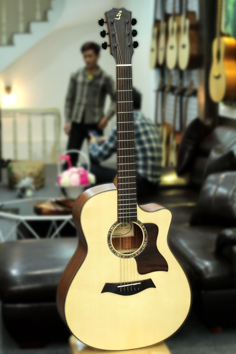 Đàn Guitar Acoustic Ba Đờn Taylor T350