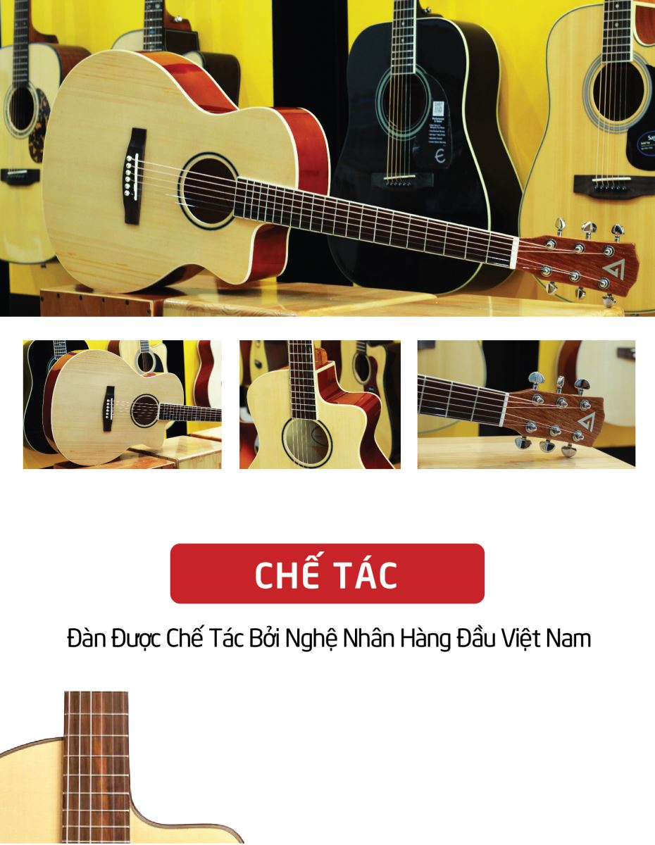 Đàn Guitar Acoustic Việt Nam VG AS200N