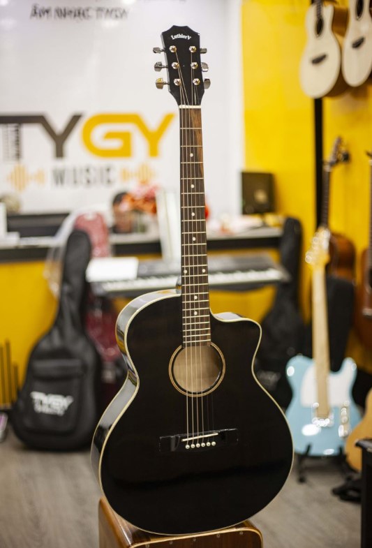 Guitar Acoustic LuthierV -LVT-70