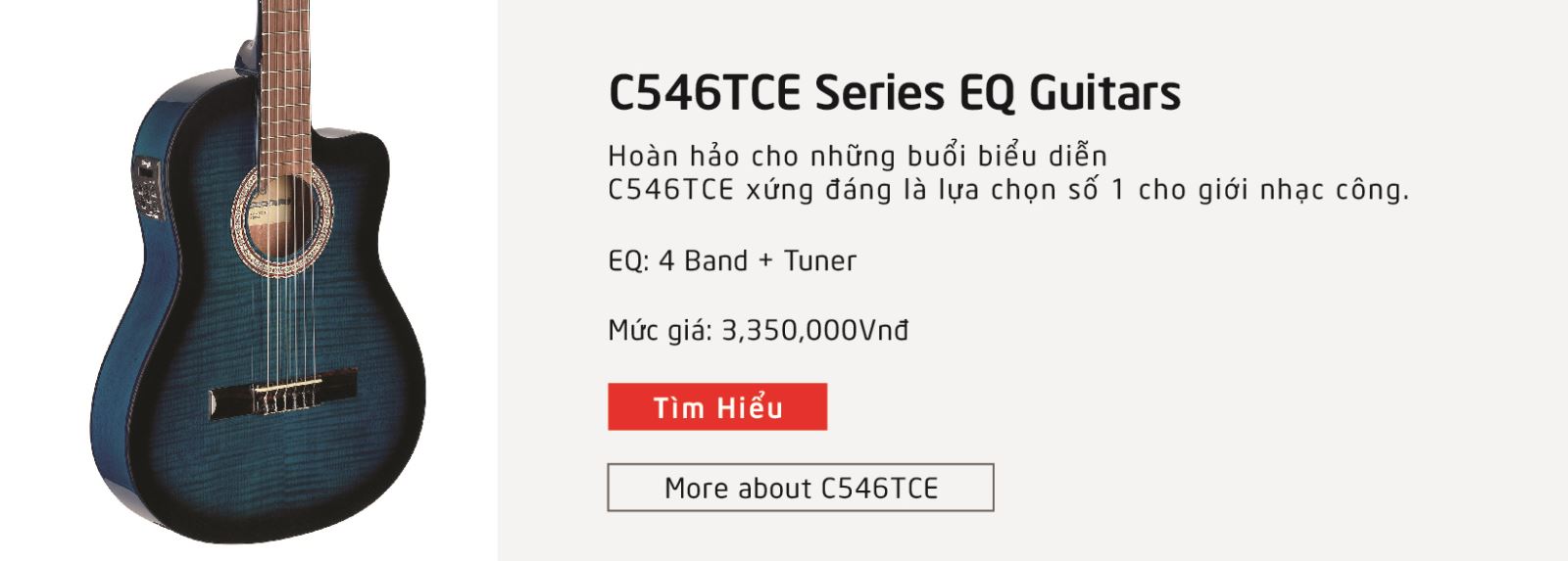 Giới thiệu hãng đàn guitar stagg C546TCE EQ