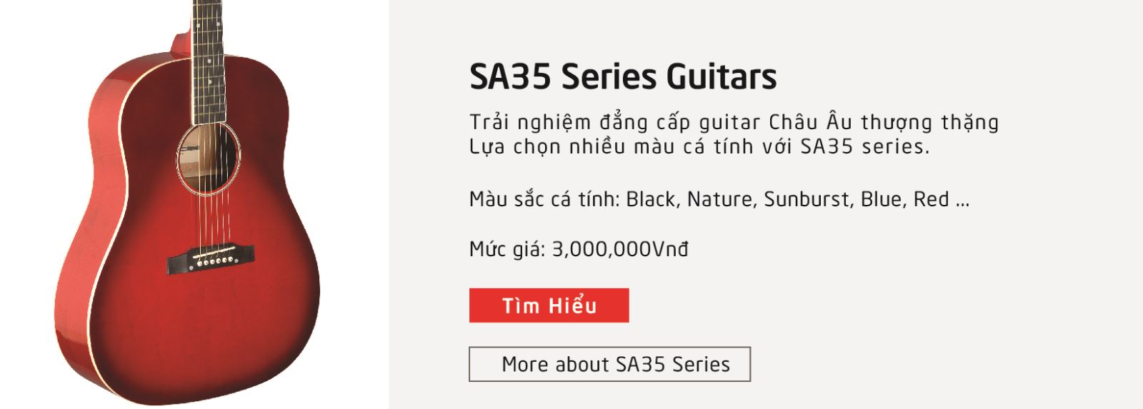 Giới thiệu hãng đàn guitar stagg dòng sản phẩm sa35 
